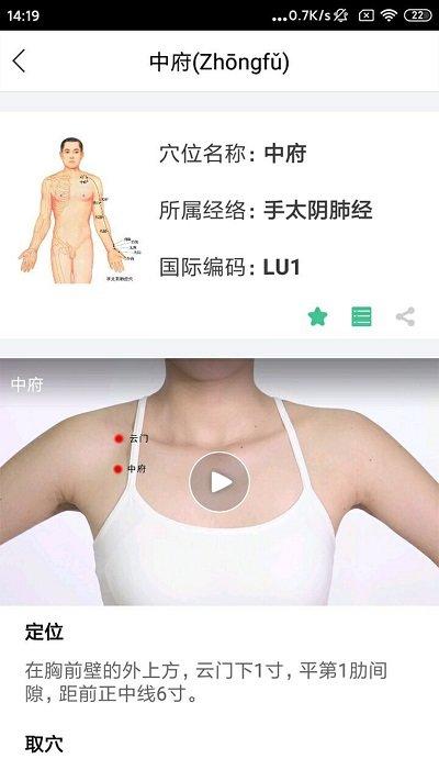 灸大夫app绿色版(经络穴位图解)下载,经络穴位图解,健康app,中医app